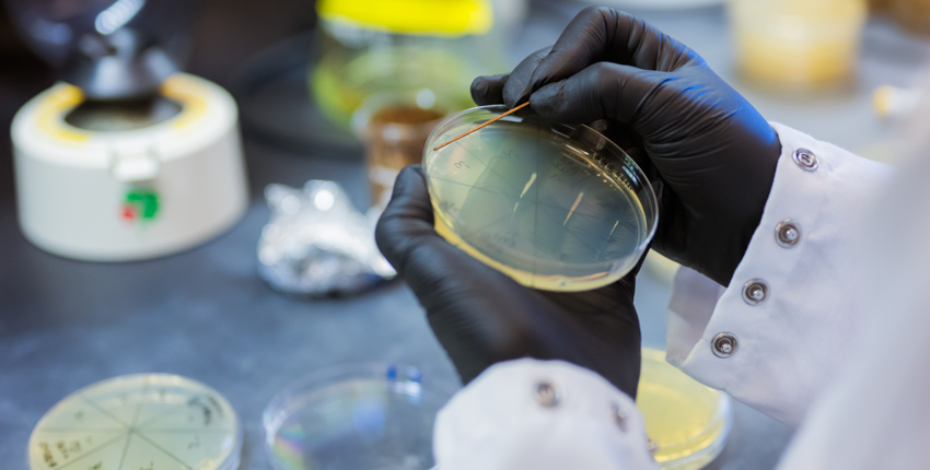 Closeup of petri dish